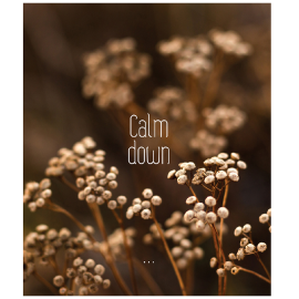 Տետր BG "Calm down" А5 96 թերթ