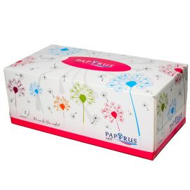Անձեռոցիկ Papyrus 100 հատ