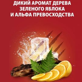 Շամպուն-Լոգանքի գել  Old Spice Bearglove 400մլ