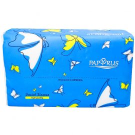 Անձեռոցիկ Papyrus 110 հատ