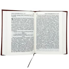 Նոր կտակարան և Սաղմոսներ A222CAM