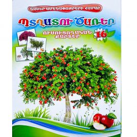 Ուսուցողական քարտեր : Պտղատու ծառեր
