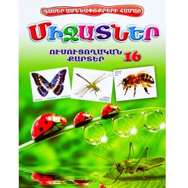 Ուսուցողական քարտեր : Միջատներ