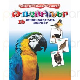 Ուսուցողական քարտեր : Թռչուններ