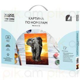 Նկարչական կտավ թվերով ակրիլային ТРИ СОВЫ "Слон" 30*40սմ