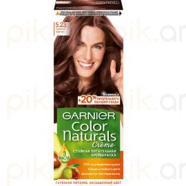 Մազի ներկ «Garnier» №5.23