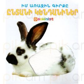 Իմ առաջին գիրքը ։ Ընտանի կենդանիներ