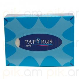Անձեռոցիկ Papyrus sky premium