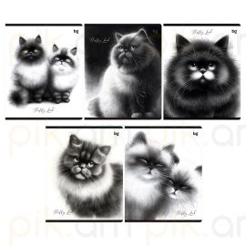 Տետր BG "Пушистые коты" А5 48 թերթ