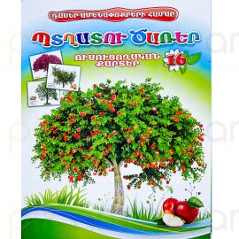 Ուսուցողական քարտեր : Պտղատու ծառեր