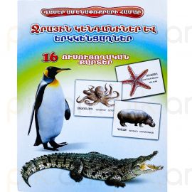 Ուսուցողական քարտեր : Ջրային կենդանիներ և երկկենցաղներ