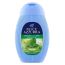Լոգանքի գել Felce Azzurra Mint & Lime 250մլ